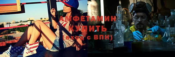 гидра Ельня