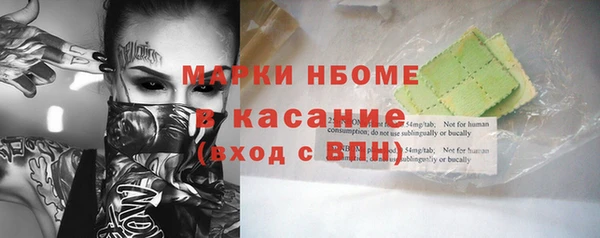 гидра Ельня