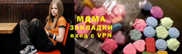 гидра Ельня