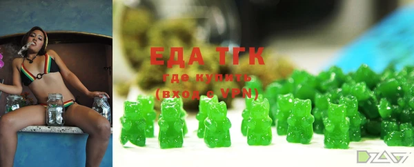 гидра Ельня