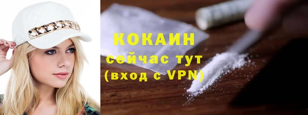 гидра Ельня