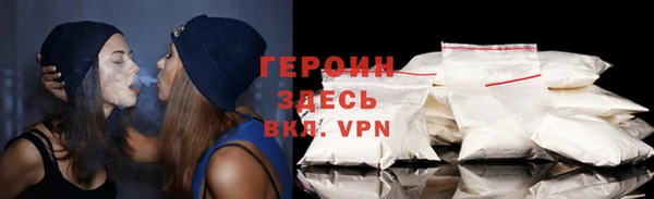 гидра Ельня