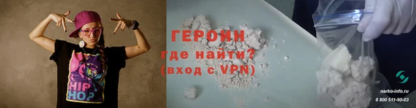 гидра Ельня