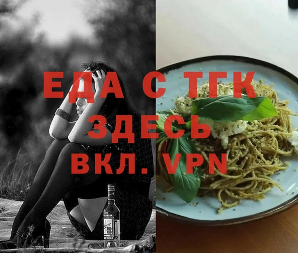 гидра Ельня