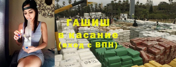 гидра Ельня