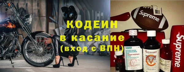 гидра Ельня