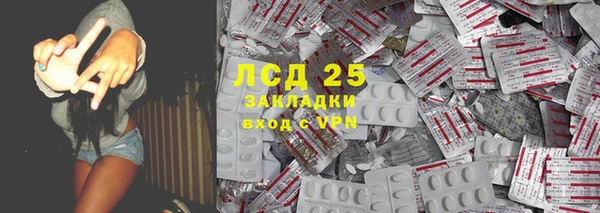 гидра Ельня