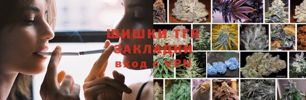 гидра Ельня