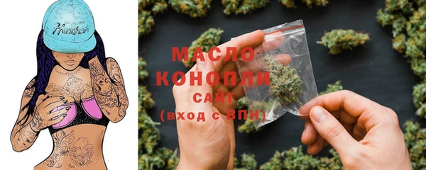 гидра Ельня